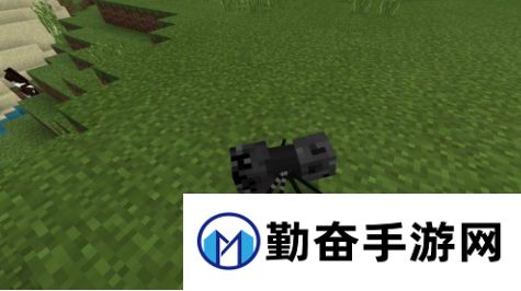 1535349157917149.jpg 勤奋手游