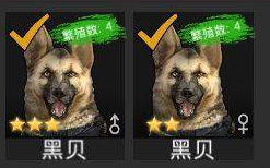 1535363020870388.jpg 勤奋手游