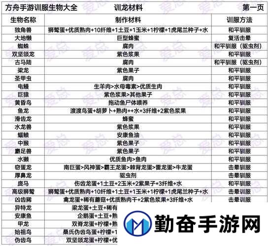 一招搞定!魔法驯服宠物必备5大神器清单