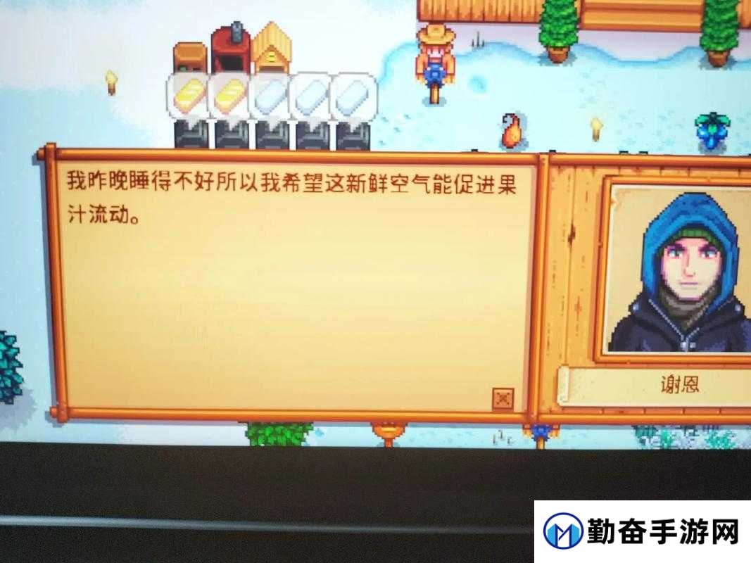 星露谷物语娶老婆攻略!嫁给最喜欢的角色的独家技巧大公开!