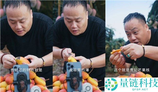 从码农到果农：追着应季水果跑的“候鸟”主播