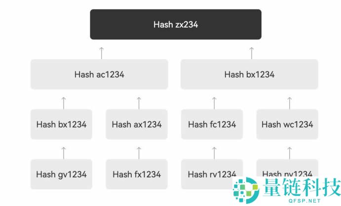 什么是PoR（储备金证明）和Merkle Tree（莫尔克树）？
