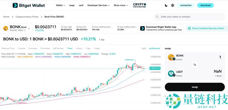 BONK币会在2025年继续上涨吗？BONK币未来价格走势分析