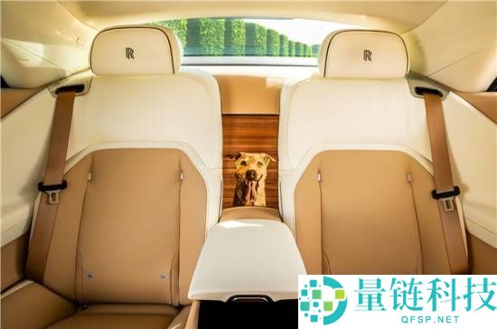 狗狗都有劳斯莱斯了,一客户为爱犬定制希奇版闪灵