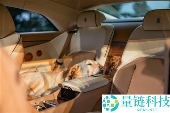 狗狗都有劳斯莱斯了,一客户为爱犬定制希奇版闪灵