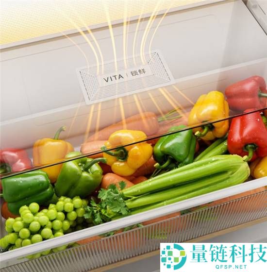 追觅发布韶光屿十字冰箱:除菌率99.999%、支撑-32℃速冻