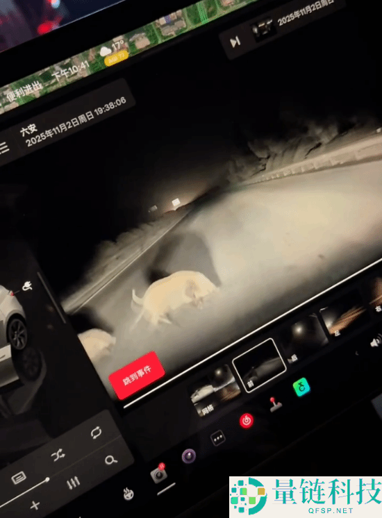 特斯拉撞死闯国道野猪:车主被判全责