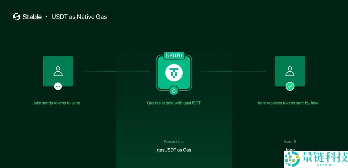 稳定币公链深度分析:下一代加密支付网络的竞争与机遇