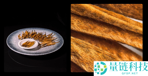 爆款预定,华为Mate X7开售来袭:智能体验+牢靠重构折叠屏天花板