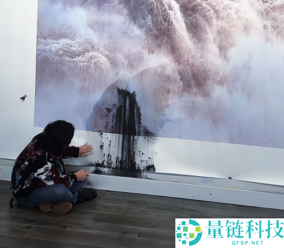 估价380万 闻名画家巨幅画作遭泼墨：千万网友献策弥补