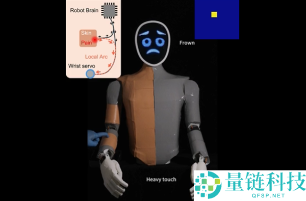 温顺点儿 机械人也怕疼了,电子皮肤自动痛觉+毁伤自检双buff拉满