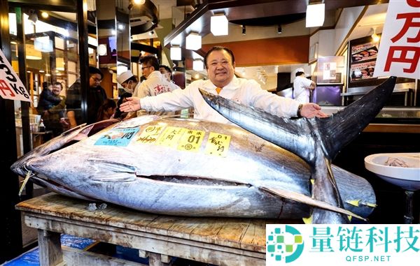 一条鱼卖出2271万人民币,日本金枪鱼首拍创汗青最低价