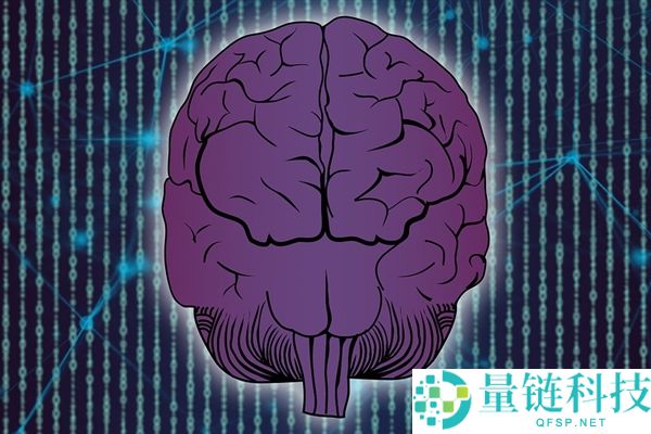 这个运动能延缓大脑衰老 对峙6个月 大脑受益最少5年