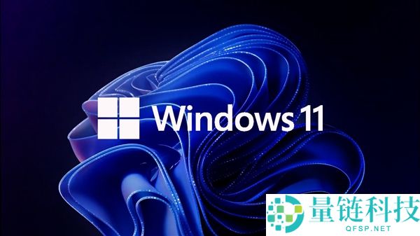 重装/重置Windows 11的同伙：切记不要联网,