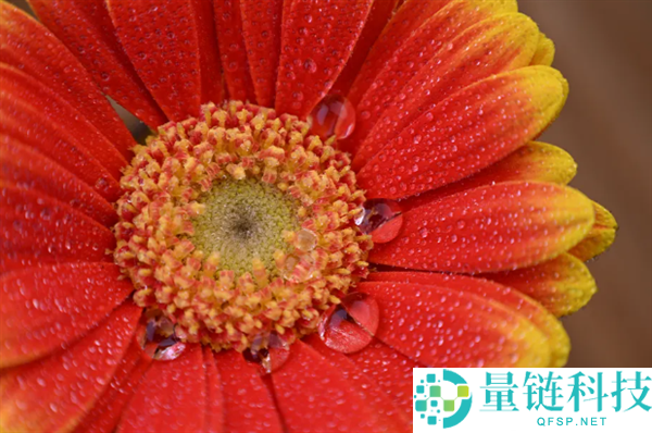 3980元 尼康发布尼克尔Z 24-105mm f/4-7.1镜头