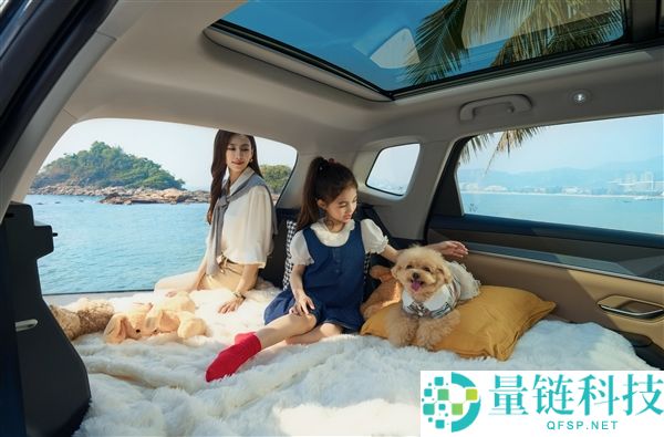 220km 纯电续航接近翻倍,比亚迪2026款宋Pro DM-i长续航上市:11.98万起