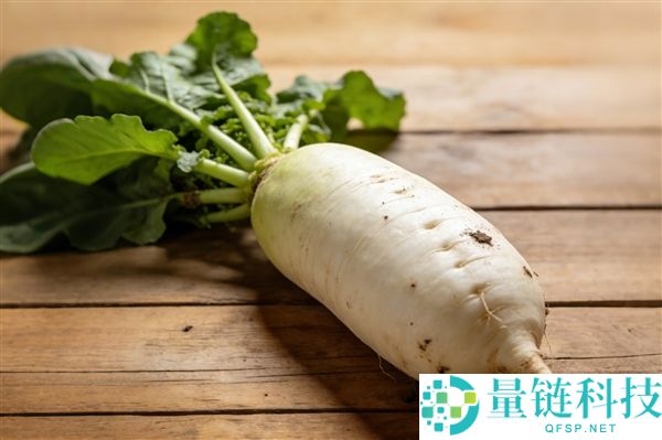 守护萝卜爆火 老板说人比虫都多