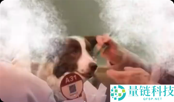 宠物狗上西贝上桌吃饭被质疑 门店：狗没碰餐具 顾客有携带狗盆