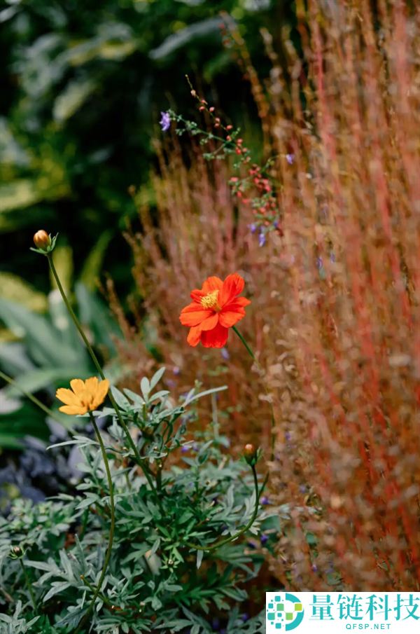 3980元一镜走世界 尼康尼克尔Z 24-105mm f/4-7.1正式开售