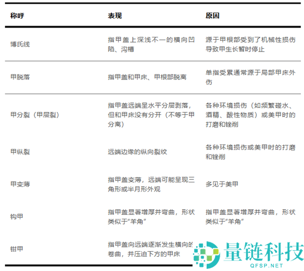 指甲为什么总从这个处所断开 是缺钙了吗