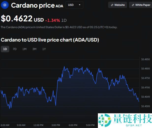 比特币、ADA和狗狗币面临的是短期压力还是长期变革?一文分析