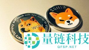 加密货币基础知识：初学者和投资者的终极指南