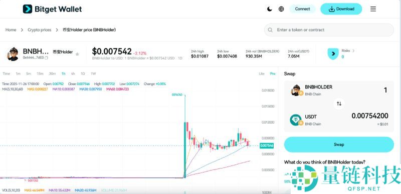 什么是Holder(BNBHOLDER)币?未来潜力如何?BNBHOLDER价格预测