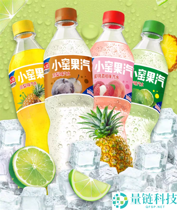 满满果味:大窑汽水520mL仅1.9元大促