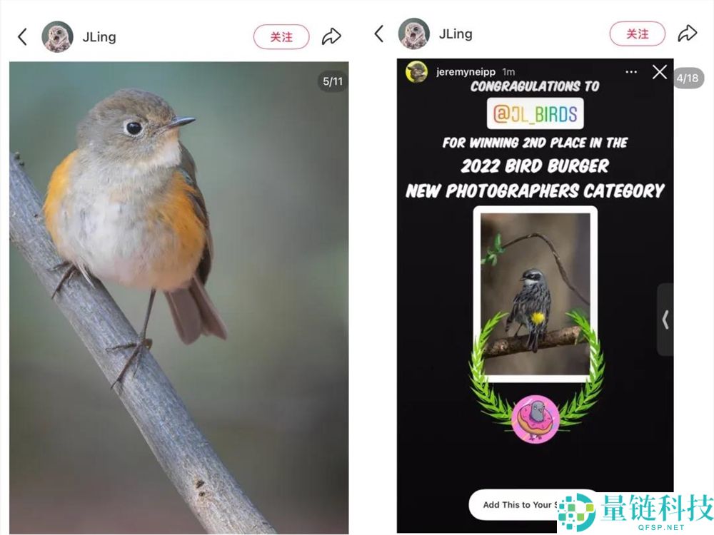 播放量超10亿,年青人纷纭掉入“鸟门”