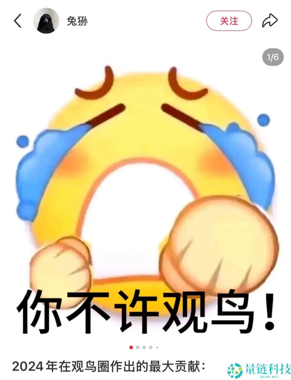 播放量超10亿,年青人纷纭掉入“鸟门”