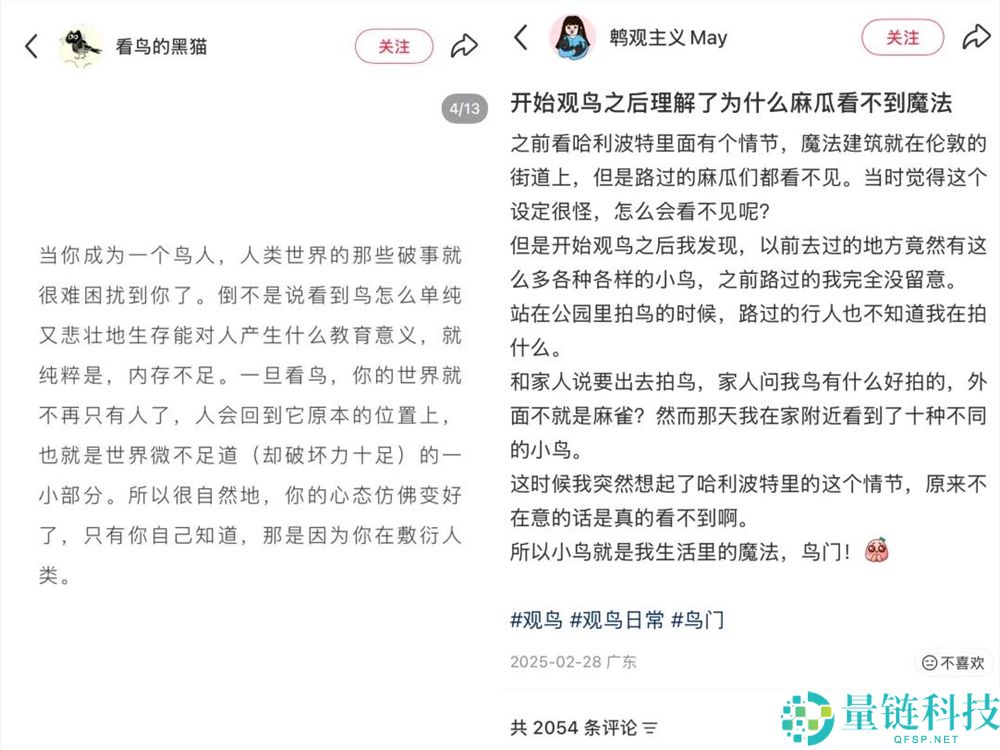 播放量超10亿,年青人纷纭掉入“鸟门”