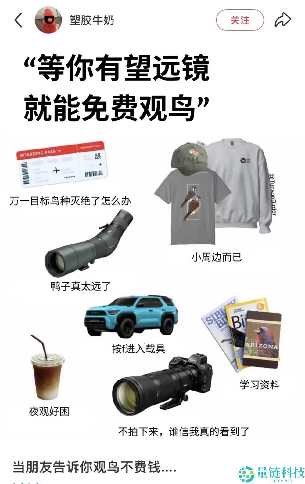 播放量超10亿,年青人纷纭掉入“鸟门”