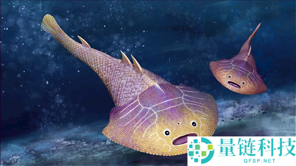 4.38亿年前武宁西海鱼化石现身 恢复图呆萌