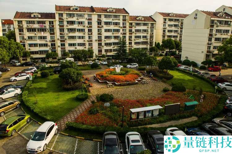 桃花族社区：一个充满温馨与活力的交流家园