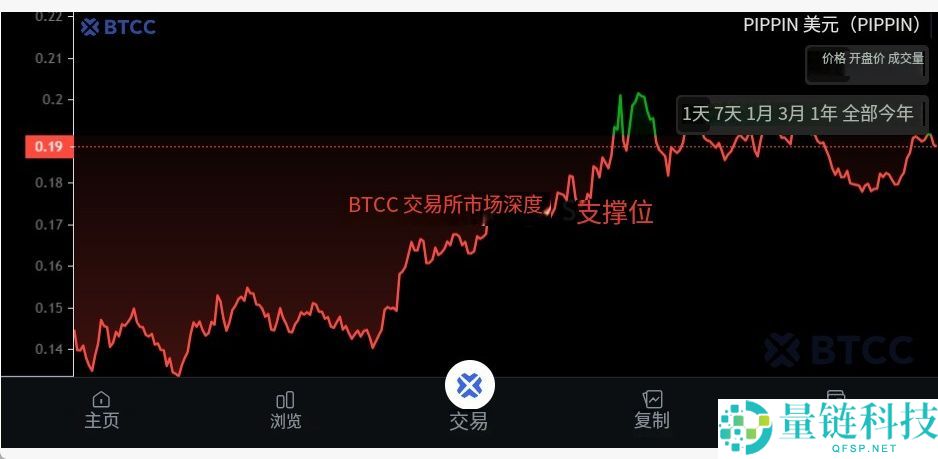 什么是PIPPIN币?PIPPIN运作方式、未来展望及购买指南