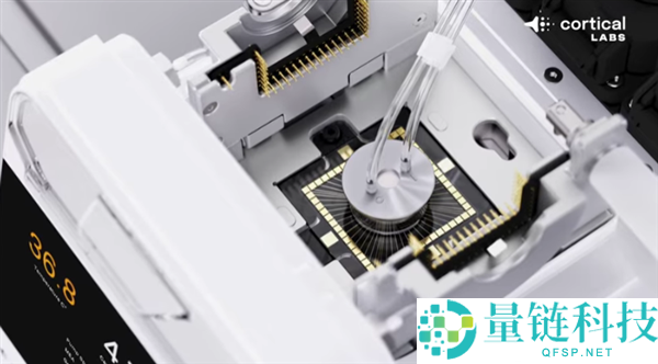 20万个活体人类神经元在电脑芯片上激活,居然能本人玩《消灭兵士》游戏