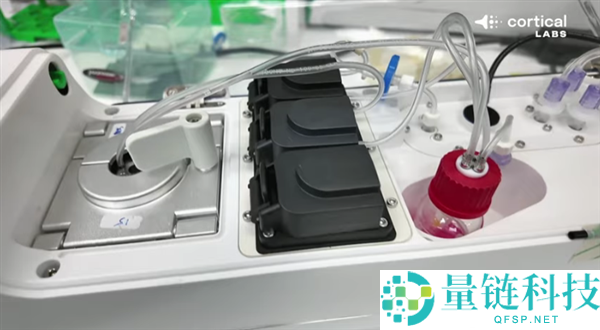 20万个活体人类神经元在电脑芯片上激活,居然能本人玩《消灭兵士》游戏