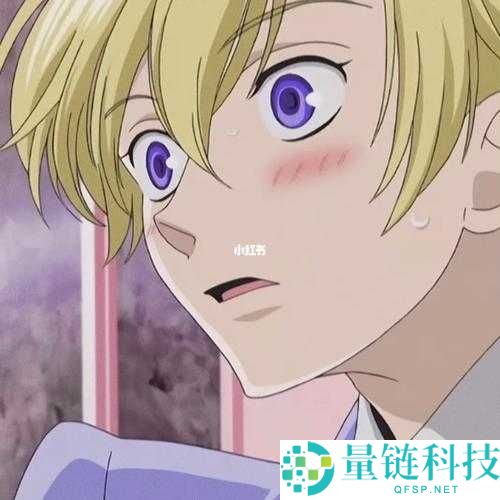 ACCA 少女 SDANVI ：在梦想与挑战中绽放光芒