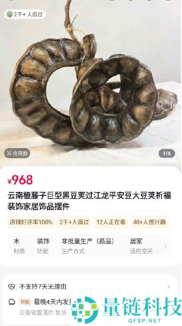 男子带1米长巨型豆荚坐飞机走红 商家回应968元一个: 天然孤品