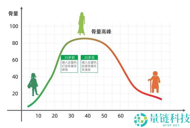 大家看钙都是在哪看呀：探寻钙元素观测的常见途径
