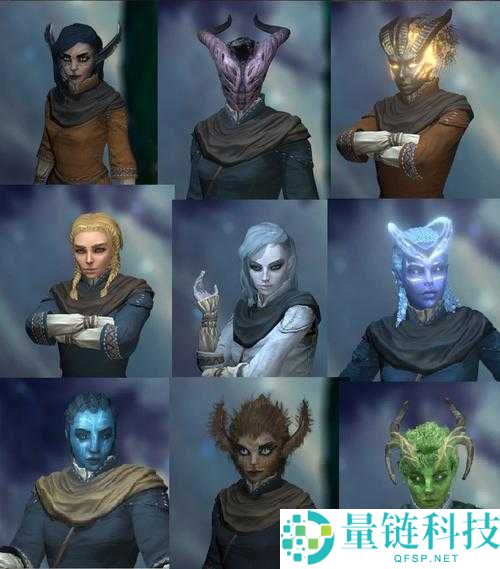 永恒之柱2中游侠职业实用性分析，全面详解游侠输出能力与特点