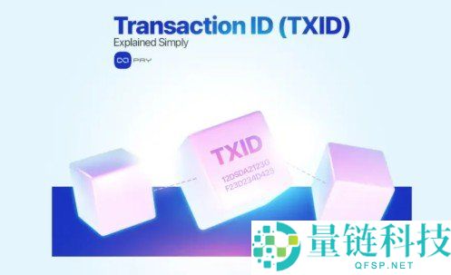 什么是加密交易ID（TXID）？如何查找和检查TXID