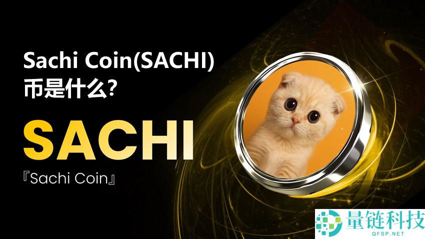 Sachi Coin(SACHI)币是什么？值得投资吗？SACHI币价格分析与预测