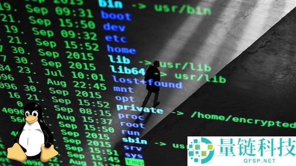 AMD副总裁完全用AI写了个显卡驱动,但和你想的不太一样