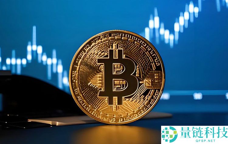 一文详细了解L1代币为何持续跑输比特币（BTC）