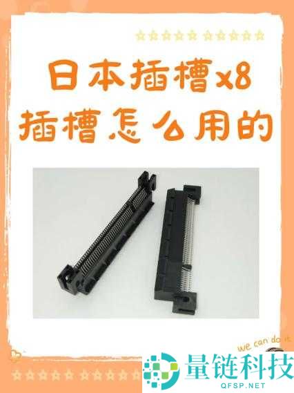 日本插槽 X8 插槽是什么？怎么用？