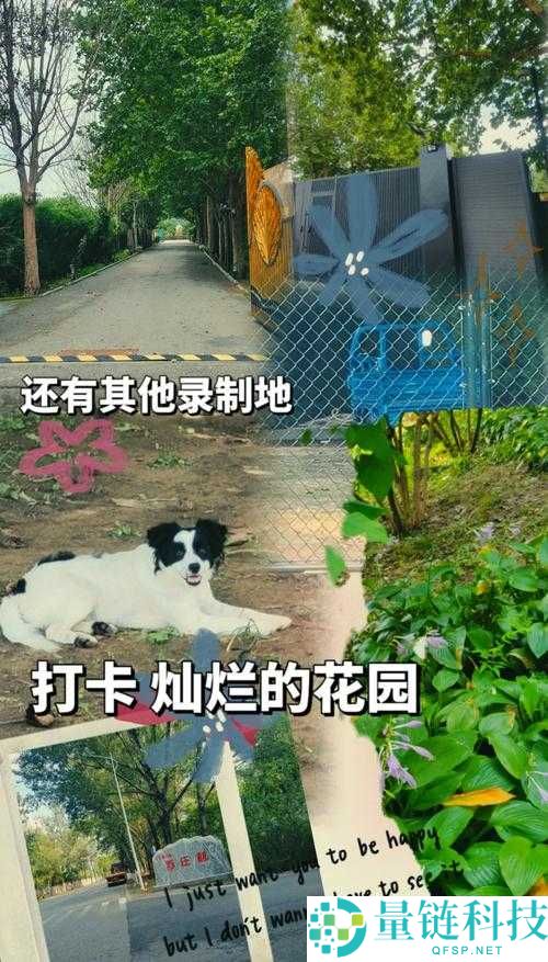 我想进入你的花园里日剧百度云：一场心灵的治愈之旅