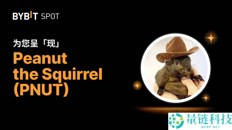 2025年12月值得关注的Pump.fun生态下的热门币种