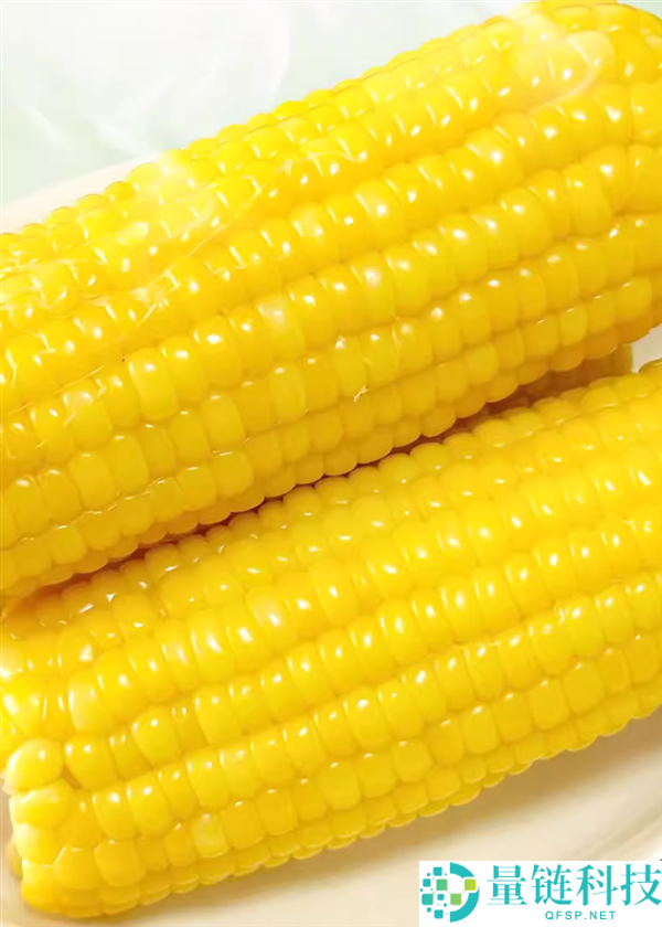 阿里自营店：吉林农投旗下田本部黄糯玉米8棒13.5元