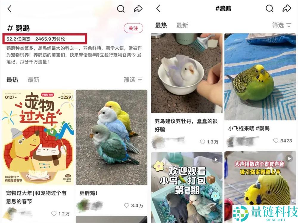 女孩们捧红的“鸟鸟教”,催熟百亿新市场